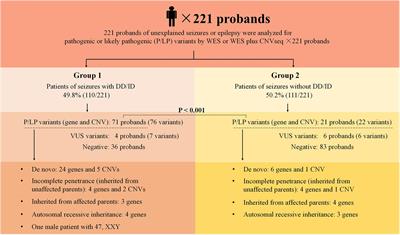 Application of Trio-Whole Exome Sequencing in Genetic Diagnosis and Therapy in Chinese Children With Epilepsy